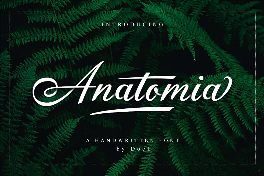 Avinda Script Font - Free Download